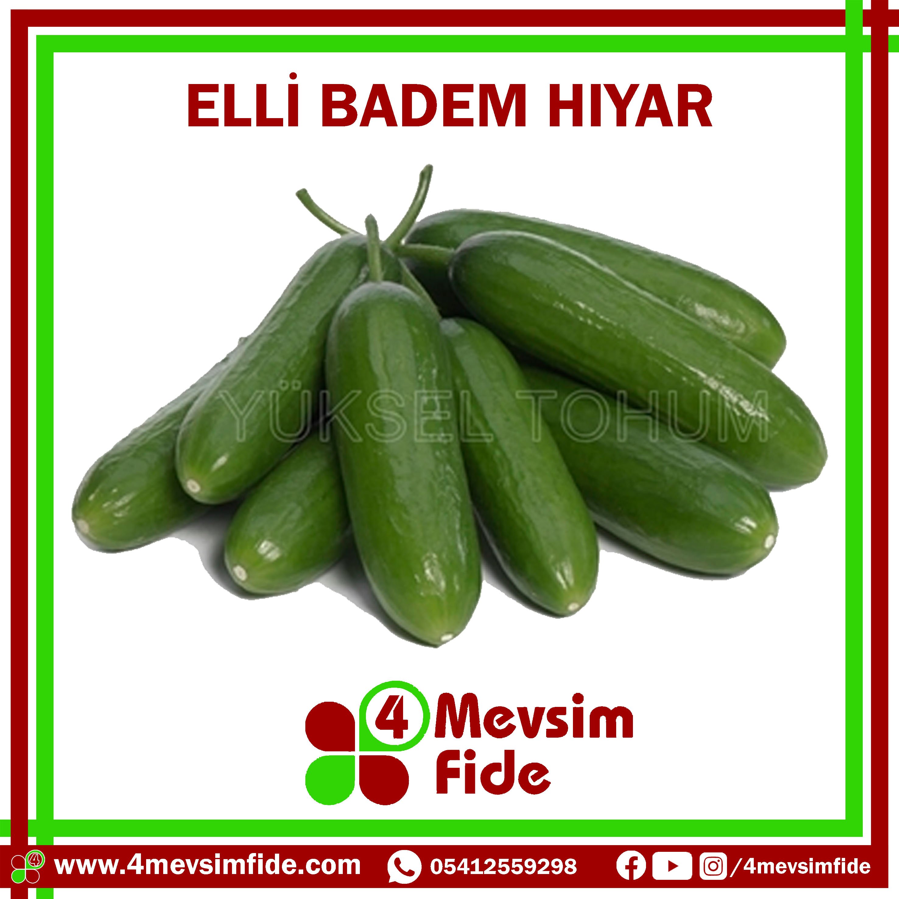 Elli Badem Hıyar